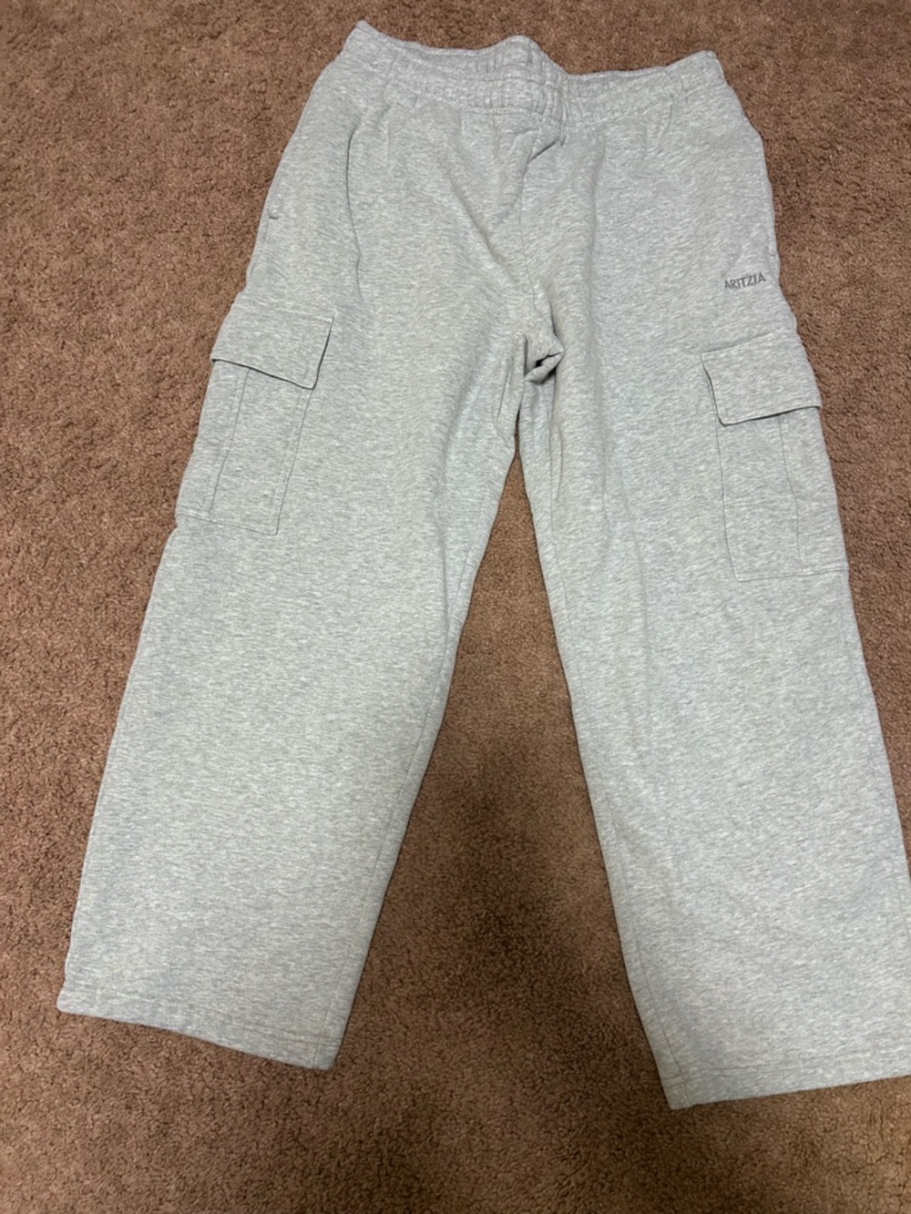 Aritzia Light Gray Cargo Sweatpants
